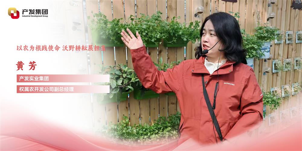 巾幗綻芳華 | 產(chǎn)發(fā)實業(yè)集團權(quán)屬農(nóng)開發(fā)公司 黃芳：以農(nóng)為根踐使命，沃野耕耘展擔當