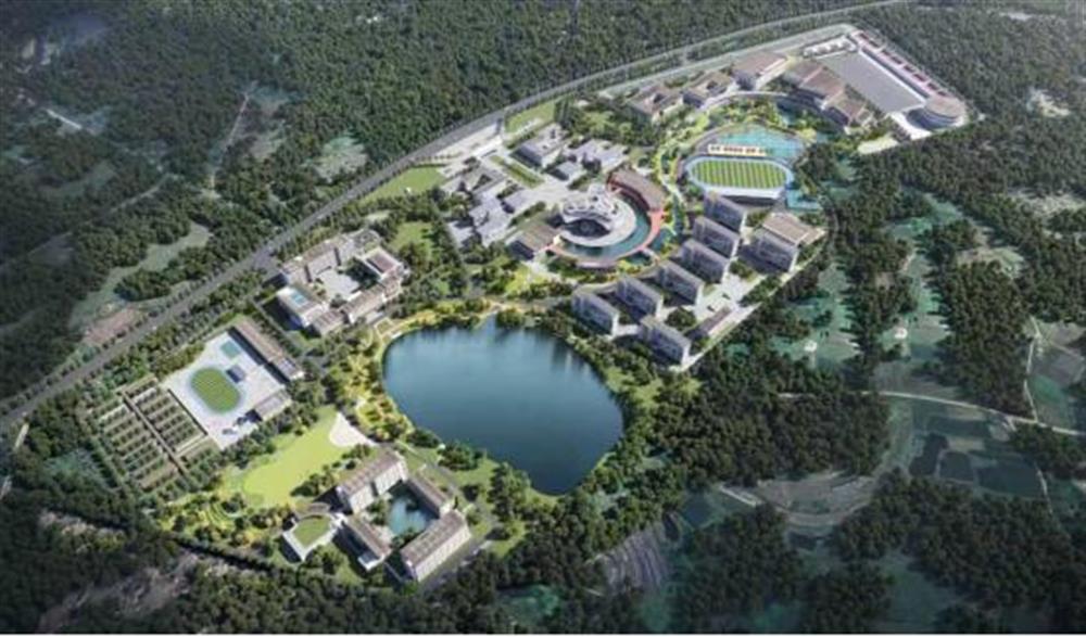 奮進正當時 | 濟南市工程咨詢院：專業(yè)智庫顯身手，服務(wù)發(fā)展勇爭先